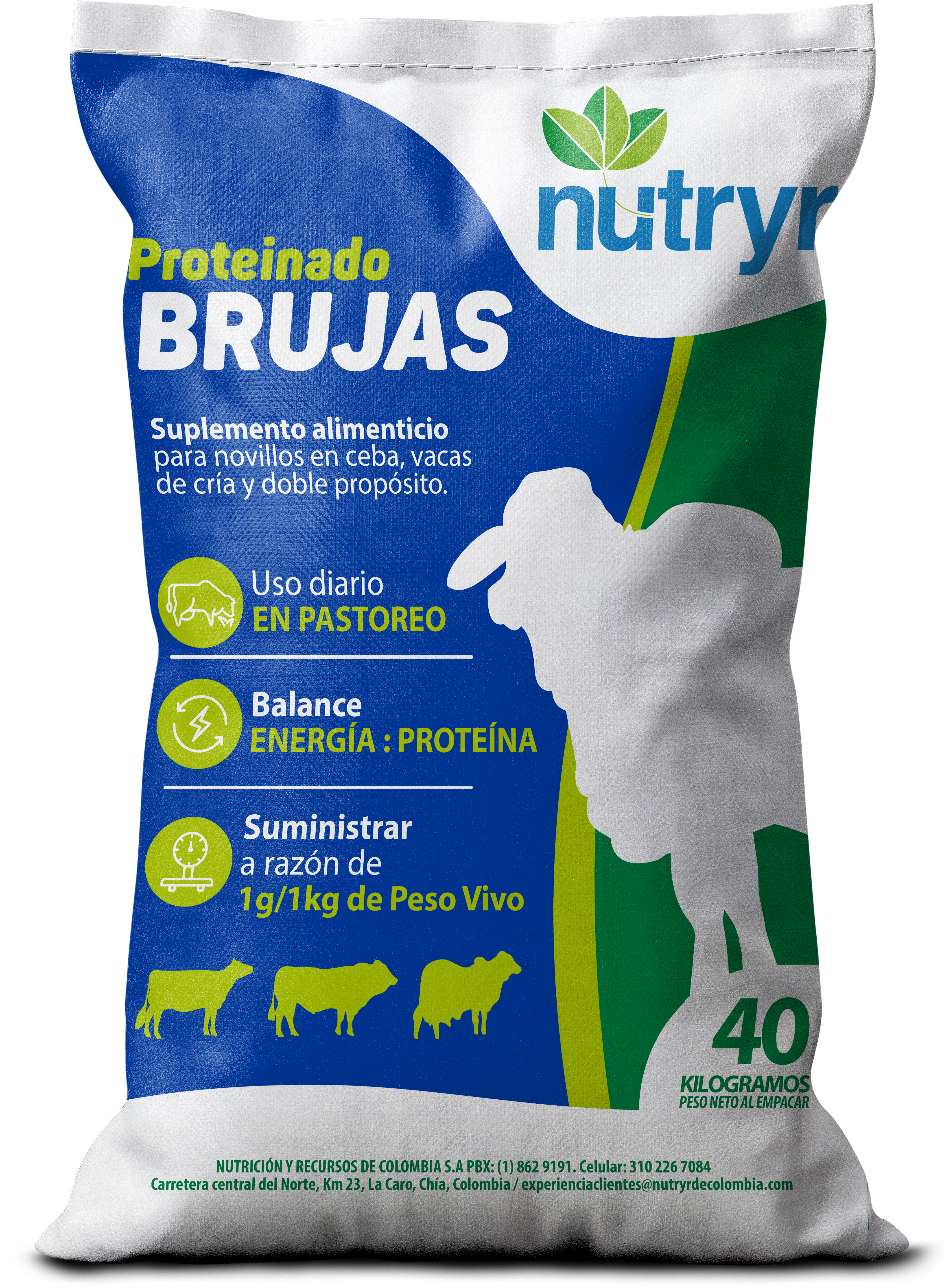 BRUJAS