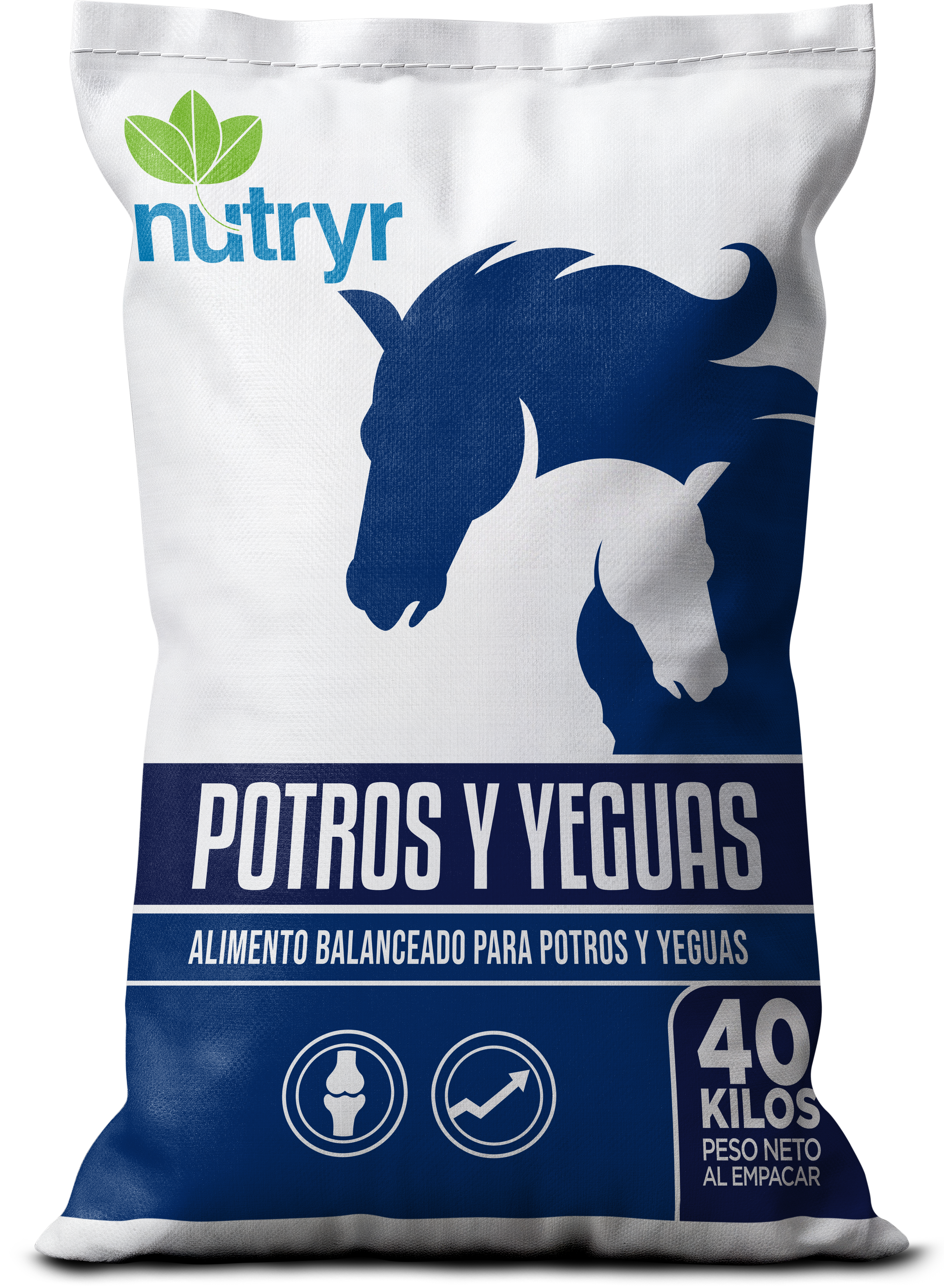 POTROS Y YEGUAS
