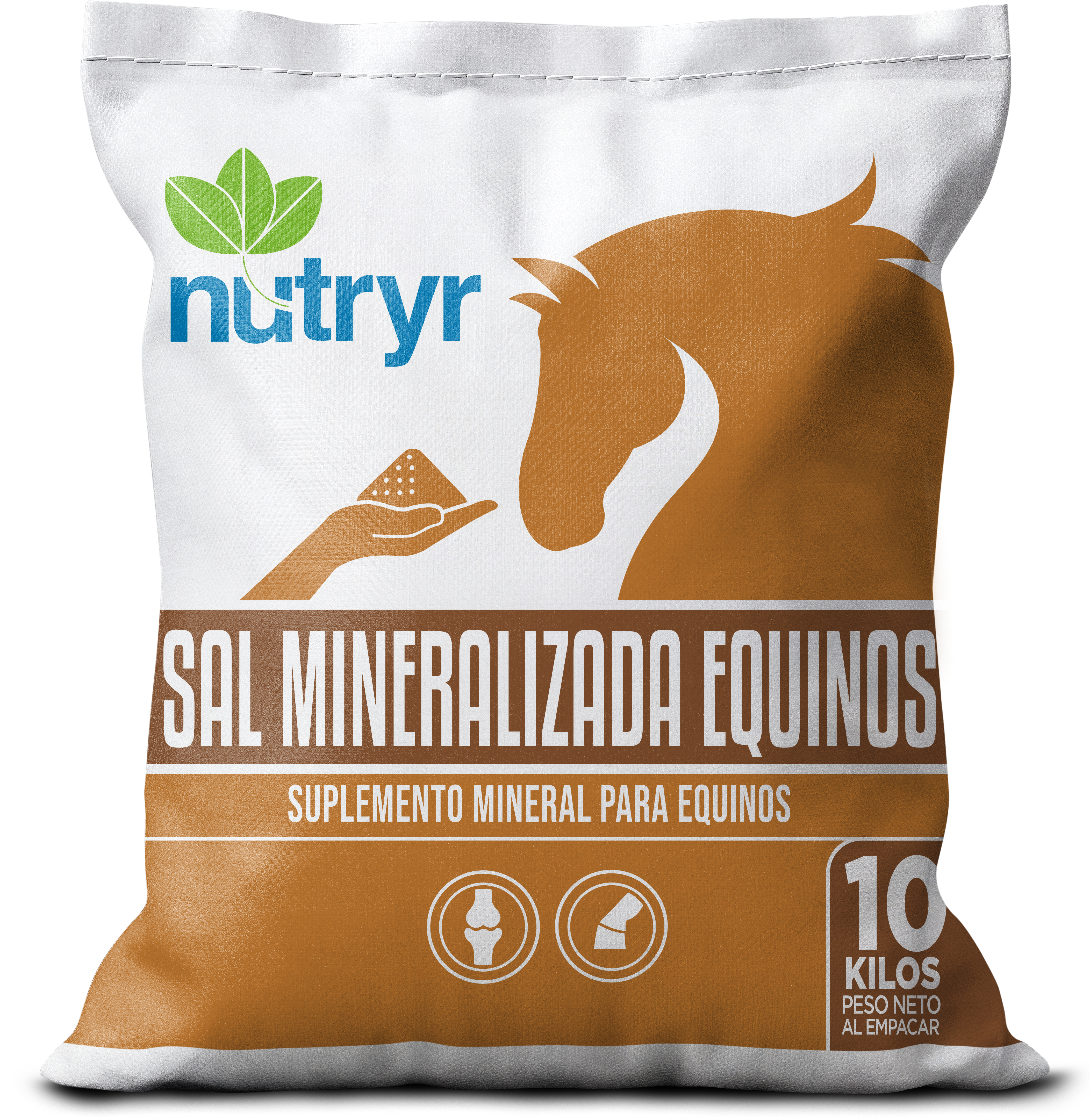 SAL NUTRYR EQUINOS
